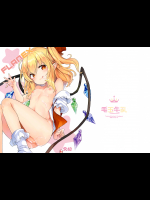 [毛玉牛乳]FLANEX