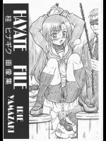 ハヤテのごとく_2