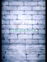 ansa