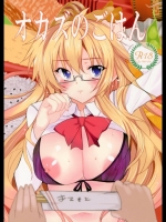 オカズのごはん