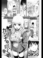  カンナの咲く頃