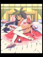 提供元に続きがあります_11