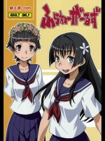 (COMIC1☆4)(同人誌) [鋼工房 (はがねま)] ふらわーがーるず (とある科学の超電磁砲)