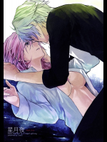 [CassiS]星月夜