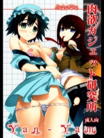 Steins;Gate 肉欲ガジェット研究所
