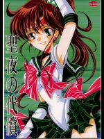 聖夜の代償 (セーラームーン)