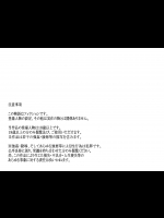 [夢茶会 (むちゃ)] ちーちゃん開発日記4 (オリジナル)