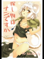 探し物はナンですか (東方)