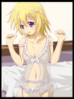 【30枚】ISのエロ画像集その30