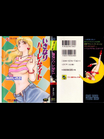 いきなりハーレムナイト