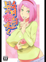 (C90) [からきし傭兵団 真雅 (砂原渉)] 影日向に桜咲く (NARUTO -ナルト-)