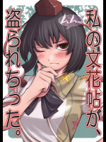 SCHAFT SECURITY SYSTEM