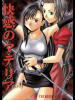 快感のマテリア 1