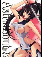 アストラルバウト Ver.22 (Infinite Stratos)