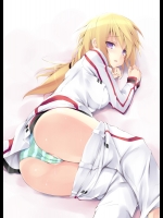 シャルロット・デュノアのエロ画像