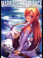 20130503007