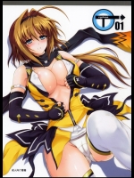 超昂閃忍ハルカ T-01