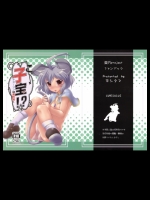 (COMIC CITY福岡23) [CUNICULUS] こ、子宝!？～ナズーリンは俺の嫁～ (東方