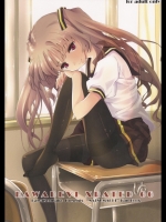 かわでび Xrated06 (あの夏で待ってる)