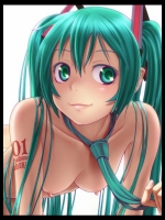 【30枚】初音ミクのエロ画像集その1