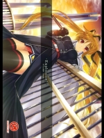 10209 [IV VA SHIN] Explosion! (魔法少女リリカルなのは)(C80)