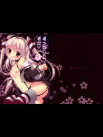 wonder wind_2