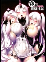 棲姫観察日記 (艦隊これくしょん-艦これ-)