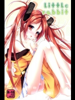 [skeleton scape] llittle rabbit (ブラック・ブレット)