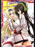 IS (インフィニット・ストラトス)_4