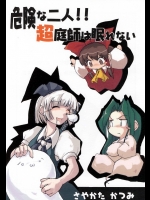 (紅楼夢) [さやかた紅茶館 (茶館カツミ)] 危険な二人!! 超庭師は眠れない (東方Project)