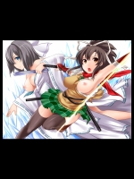 (HCG集) 閃乱カグラ