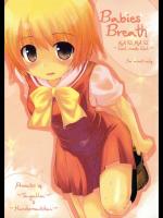 Babies Breath