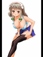 bra004