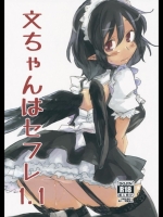 文ちゃんはセフレ 1.1 (東方)