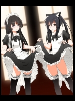 133518Bd