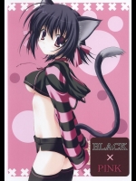 BLACK×PINK