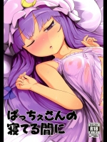 ぱっちぇさんの寝てる間に.SMN
