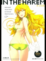INTHEHAREMASIDE_4