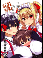マヨヒガのお姉さん その2(V.2)          