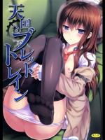 [影法師通訊協定] 天国へのブレットトレイン (Steins;Gate)