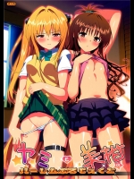 [Number2] ヤミと美柑のハーレムぷろじぇくと (ToLOVEる-とらぶる-)_2