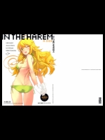 IN THE HAREM A SIDE_2