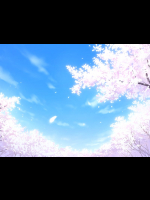 ※Fate stay night※