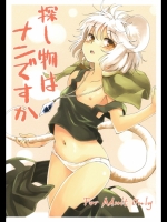 東方 探し物はナンですか