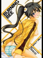 化物語 BURNING BEE
