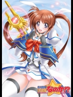 リリカルなのか！？          