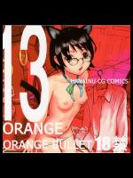 ORANGE 13_2