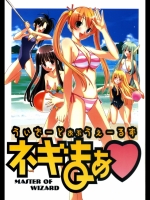 [CANDYMAN (綾風柳晶)] うぃざーどおぶうぇーるず　ネギまぁ Master of Wiza