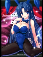 (C78) [のりたま御膳 (のりたま)] Bunny Blue (涼宮ハルヒの憂鬱)