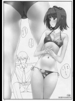 絵日記9のおまけ本          